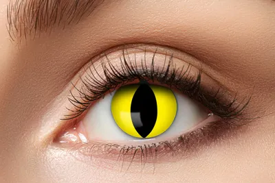 Produktbild von Kontaktlinsen Zoelibat Eyecatcher Yellow Cat – 12 Monate modische Jahreslinsen