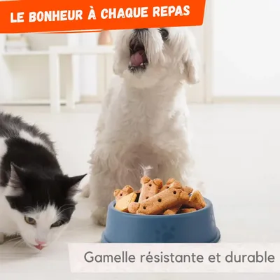 Image de Bol Rond pour Animaux – Gamelle Classique Sans BPA