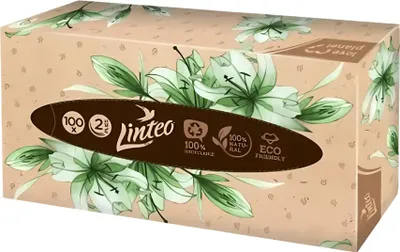 Zdjęcie produktu dla LINTEO 2-WARSTWOWE Chusteczki Higieniczne Delikatność Komfort 100 szt