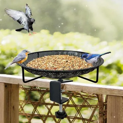 Produktbild von Famanu Vogel-Futterstation aus Edelstahl - 30 cm, großes Plattform-Futtergitter