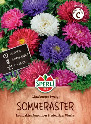 Immagine prodotto di Sperli Aster estivo nano Lüneburg Miscuglio nano - Semi di fiori