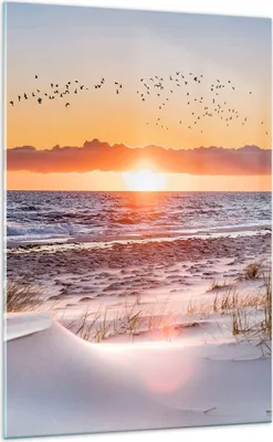 Produktbild von Bilder auf glas - Einteilig - Sonne Strand Vögel - 70x100cm - Glasbilder - Wandbilder - Bilder - zum Aufhängen bereit - Wanddekoration aus Glas - Glas Bilder - Wandbild auf Glas - GPA70x100-4727