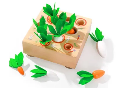 Immagine prodotto di Inserto in legno - gioco delle carote