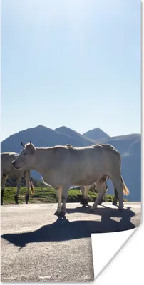 Produktbild von MuchoWow® Poster Schottische Highlander - Licht - Berge - Natur 20x40 cm - Plakat - Foto