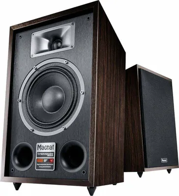 Produktbild von Magnat Transpuls 800A Głośnik bezprzewodowy Hi-Fi 2 szt.