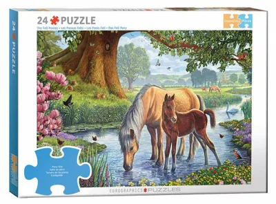 Produktbild von Eurographics Puzzle Ponies, 24 Teile, 36 x 26 cm, 6724-0976