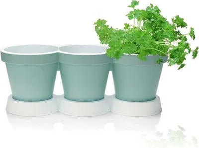 Image de Paniers suspendus, différents modèles, pour plantes et herbes aromatiques