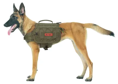 Hunderucksack 2.0 für mittlere/große Hunde, Rangergrün