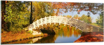 Produktbild von Bilder auf glas - Stream Fußgängerbrücke Herbst - 140x50cm - Glasbilder - Wandbilder - Kunstdruck - zum Aufhängen bereit - Wanddekoration aus Glas - Glas Bilder - Wandbild auf Glas - GAB140x50-2654