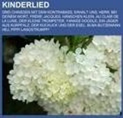 Produktbild von Kinderlied
