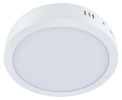 Image de Plafond moderne pour cuisine salle à manger blanc rond Ø30cm couleur neutre LED 24W MARTIN Struhm