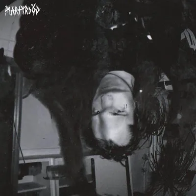 Obrázek produktu pro Martyrdod - List (LP)
