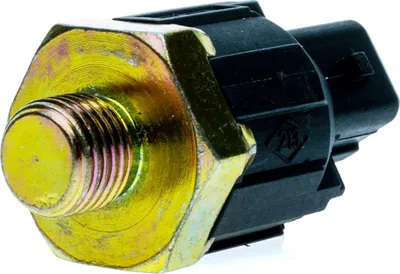 Image de Capteur de cognement pour Renault Nissan Opel Suzuki Dacia Sandero Logan Dokker Duster