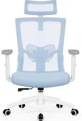 Image de Chaise de bureau ergonomique Aiibot, chaise de bureau avec appui-tête réglable, accoudoirs, soutien lombaire, fauteuil de direction, chaise pivotante, chaise de bureau supportant jusqu'à 150 kg
