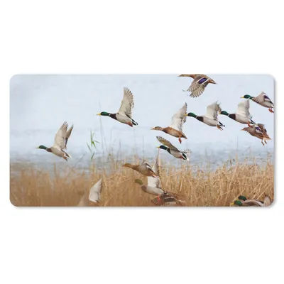 Produktbild von MuchoWow® Mauspad Mousepad Ente - Vogel - Schilf - Wasser - Enten 60x30 cm - Mousepads - Maus Mat - Pad - Mausunterlage - Nachhaltig
