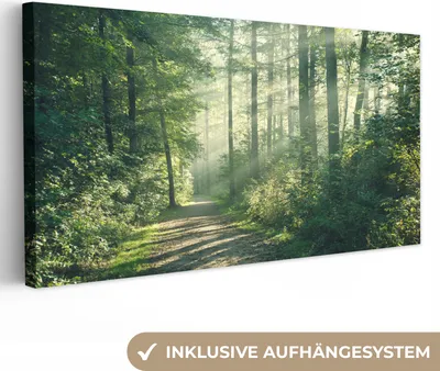 Zdjęcie produktu dla MuchoWow® - Obraz na płótnie - Las - Ścieżka - Słońce - Drzewa - Zieleń - Natura, obraz na ścianę, obrazy dekoracyjne do salonu, 80x40cm