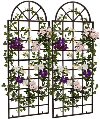 Immagine prodotto di CLP Rankgitter Viva, set di 2 elementi in ferro con arco curvo e supporto a parete, per il giardino - colore: bronzo, Immagine generata dall'IA