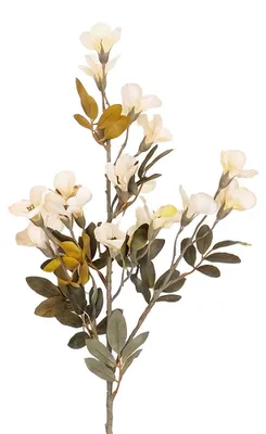 Produktbild von Clayre & Eef Kunstblume Weiß Kunststoff