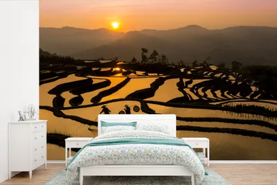 Produktbild von MuchoWow® Fototapete für Wohnzimmer oder Schlafzimmer Wandtapete Vinyl Motivtapete Schönes Bild von einem Reisfeld bei Sonnenuntergang - 600x400 cm - Vinyltapeten