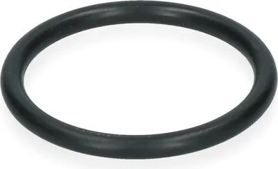 Immagine prodotto di Abbeveratoio per pollame in gomma sciolto