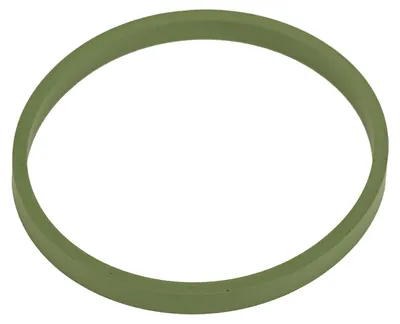 Immagine prodotto di Guarnizione dell'iniettore, collettore di aspirazione, corpo farfallato, codice 5801484364