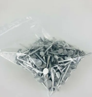 Produktbild von Schiefernägel Pappnägel 2,8 x 25 mm 0,5 kg