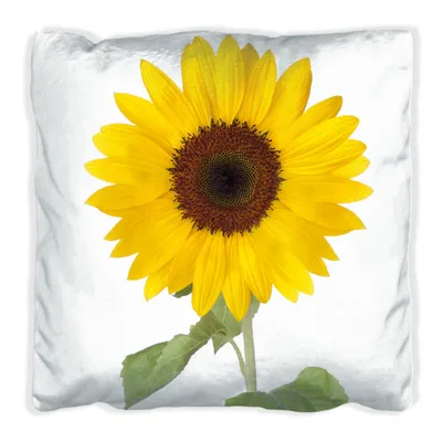 Produktbild von Wallario Premium Kissen, weiche Oberfläche, mit Motiv Sonnenblume, Größe: 40 x 40 cm, mit weißer Rückseite