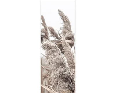 Produktbild von Leinwandbild In The Breeze 27x77 cm
