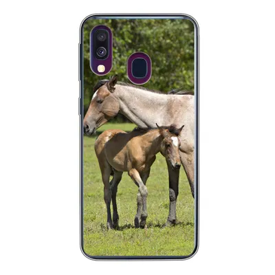 Produktbild von MuchoWow® Handyhülle Schutzhülle Hülle für Samsung Galaxy A40 Pferde - Gras - Schatten Silikon Softcase Handy Hülle - Handy-Tasche