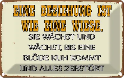 Produktbild von vianmo Blechschild 20x30 cm Eine Beziehung wie Wiese Spruch Zitat