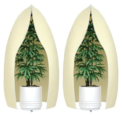 Image de Protection hivernale pour plantes, 2 pièces, protection hivernale pour plantes en pot avec fermeture éclair et cordon de serrage, housses de protection contre le gel pour arbres, palmiers et plantes de balcon, beige, 80 x 120 cm