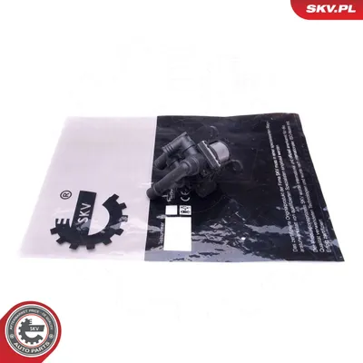 Obrázok produktu pre ESEN SKV 96SKV910 – termostat, model 96SKV910