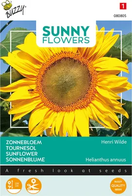 Image de Tournesol Henri Wilde | Graines de tournesol de Buzzy Seeds [Date limite de consommation : 07/2026]