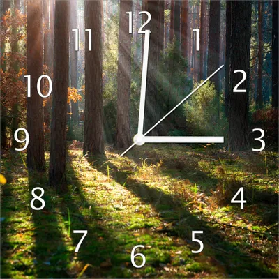 Produktbild von Wallario Design Wanduhr Sonnenstrahlen im Herbstwald aus Echtglas, Größe 30 x 30 cm