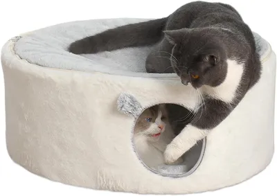 Immagine prodotto di Cuccia per gatti, dimensioni 60x45x27 cm, realizzata in metallo e tessuto, adatta ai gatti