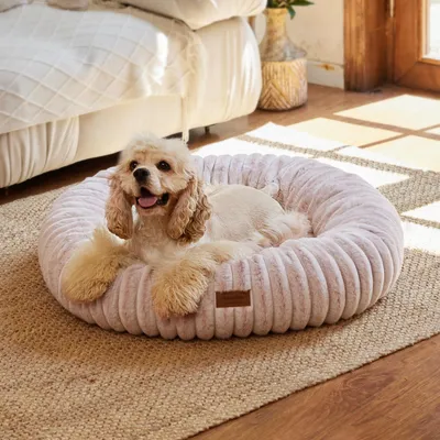 Produktbild von Hundebett Katzenbett orthopädisch waschbar 76 x 76 x 18 cm Rosa