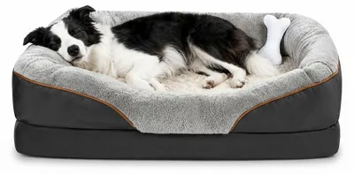 Produktbild von InAndOutdoorMatch - Orthopädisches Hundebett - Memory Foam