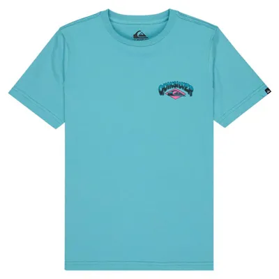 Produktbild von QUIKSILVER Kids T-Shirt Palm Horizon aqua S/10 (136-146)
