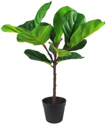 Image de Décoration avec des plantes artificielles tropicales