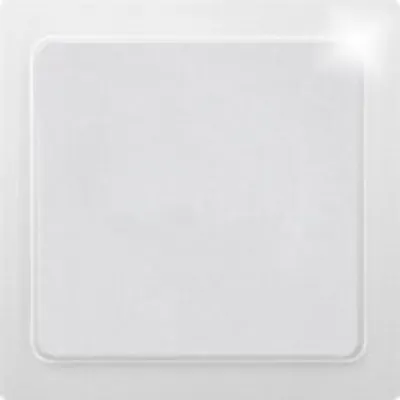 Produktbild von ELTAKO Blindabdeckung für R1UE55 R4UE55,anth-ma E-Design55