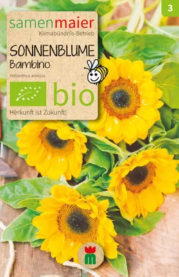 Artikelbild 1 von 'BIO Sonnenblume Bambino' aus der Kategorie Sonnenblumensamen