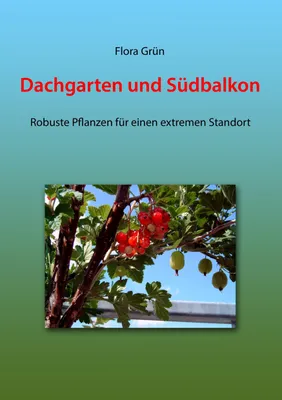 Produktbild von Dachgarten und Südbalkon