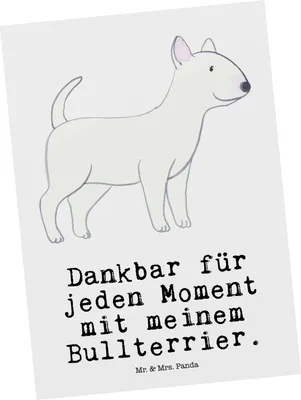 Produktbild von Mr. & Mrs. Panda Postkarte Bullterrier Moment - Weiß - Geschenk, Ansichtskarte, Fotokarte, Ansichtskarten, bildkarte, Postkarten