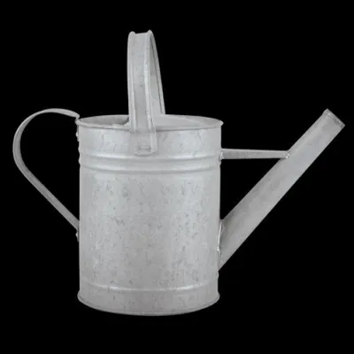 Immagine prodotto di Esschert Design Altzink annaffiatoio da 1,5 litri; OZ43