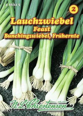 Produktbild von Bunchingzwiebel Feast | Zwiebelsamen von N.L. Chrestensen