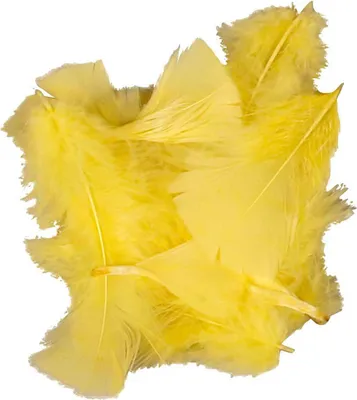 Image de Entreprise créative jaune, 50 grammes