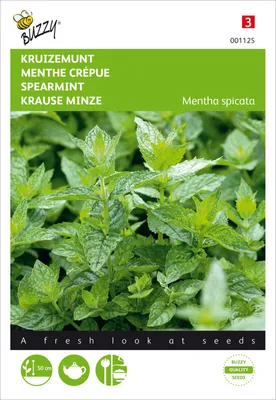 Produktbild von Minze | Minzesamen von Buzzy Seeds