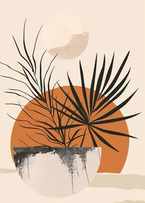 Produktbild von Plakat 50x70cm Palmen Sonnenuntergang