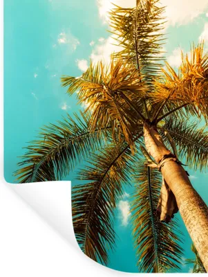 Produktbild von MuchoWow® Wandtattoo Wandsticker Wandaufkleber Palme - Sommer - Tropisch 90x120 cm Selbstklebend und Repositionierbar - Faltenfrei