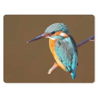 Produktbild von MuchoWow® Mauspad Mousepad Eisvogel - Äste - Bunt 23x19 cm - Mousepads - Maus Mat - Pad - Mausunterlage - Schreibtischunterlage - Mauspad
